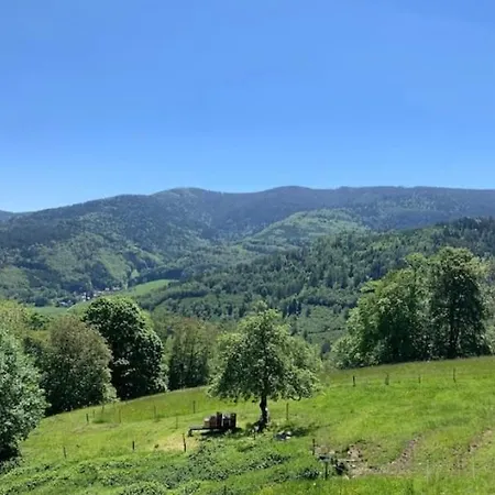 Ferme La Tourelle, Nature & Vue Exceptionnelle Sainte-Marie-aux-Mines